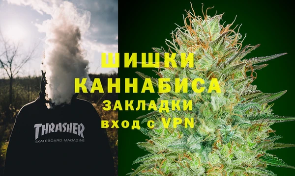 хмурый Гусь-Хрустальный