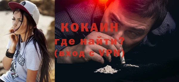 хмурый Гусь-Хрустальный