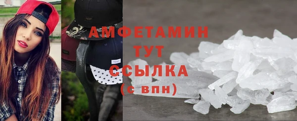 хмурый Гусь-Хрустальный