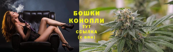 хмурый Гусь-Хрустальный