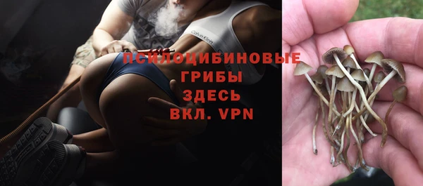 Альфа ПВП Гусев