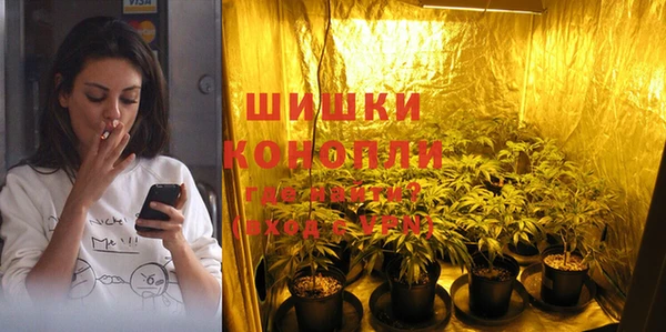 хмурый Гусь-Хрустальный