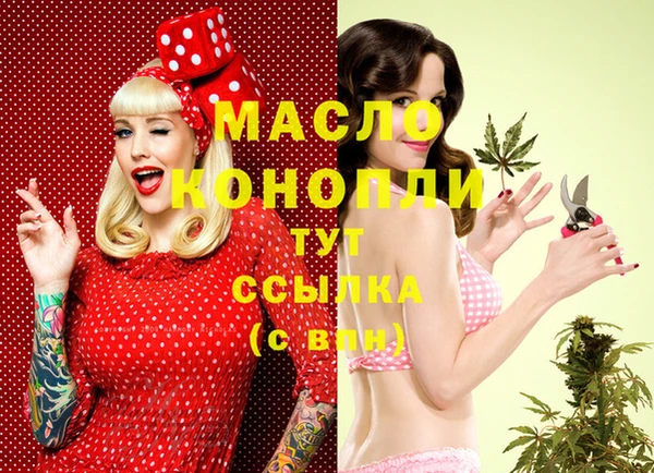 хмурый Гусь-Хрустальный