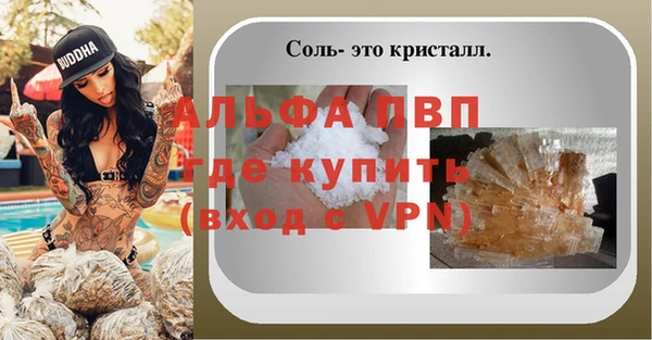 хмурый Гусь-Хрустальный