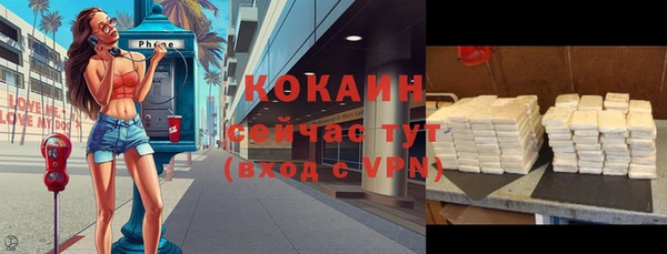 Альфа ПВП Гусев