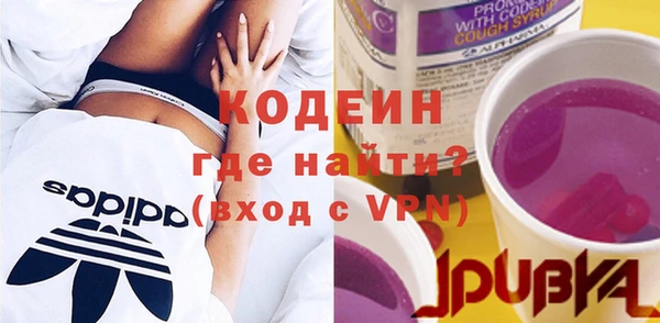 хмурый Гусь-Хрустальный